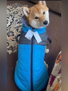 Cozy Blue & Gray Quilted Dog Coat with Faux Fur Hood - Unbranded
